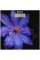 Ваги підлогові електронні Saturn ST-PS0287 Black/print