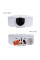 Колонка газова димохідна Thermo Alliance JSD20-10CLM 10 л White