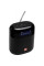 Акустична система JBL Tuner XL Black (JBLTUNERXLBLKEU)