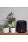 Акустична система JBL Tuner XL Black (JBLTUNERXLBLKEU)