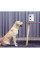 Автоматична годівниця для тварин Xiaomi Pawbby White